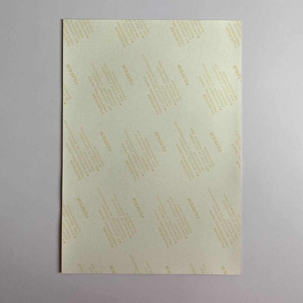SEVENTEEN 'BOYS WISH - LIKE' ENCORE CONCERT OFFICIAL PRINTED PHOTO